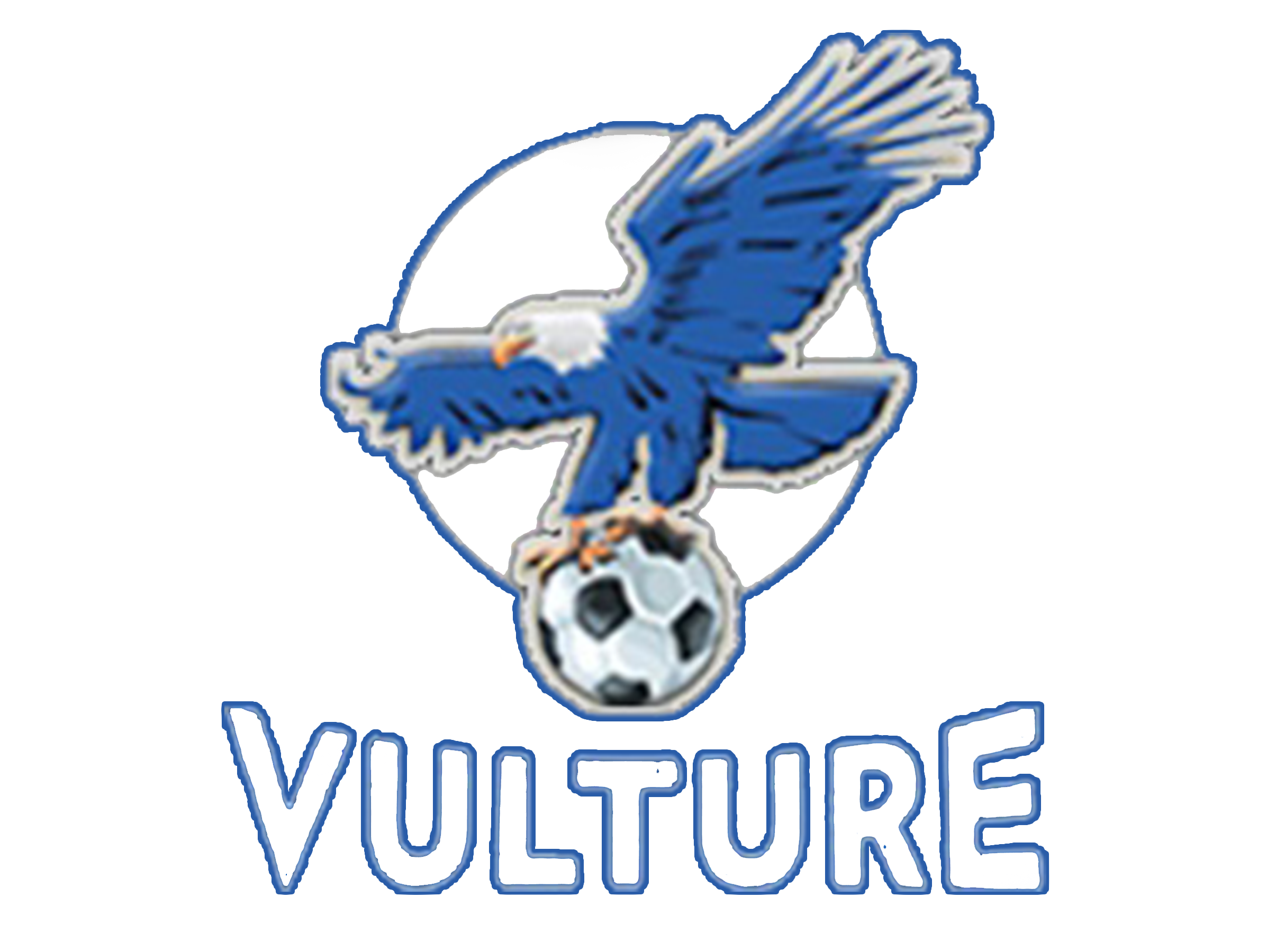 اشتراك فولتشر- Vulture VIP